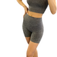 2 Piece Seamless High Waist Yoga/Running Short Set